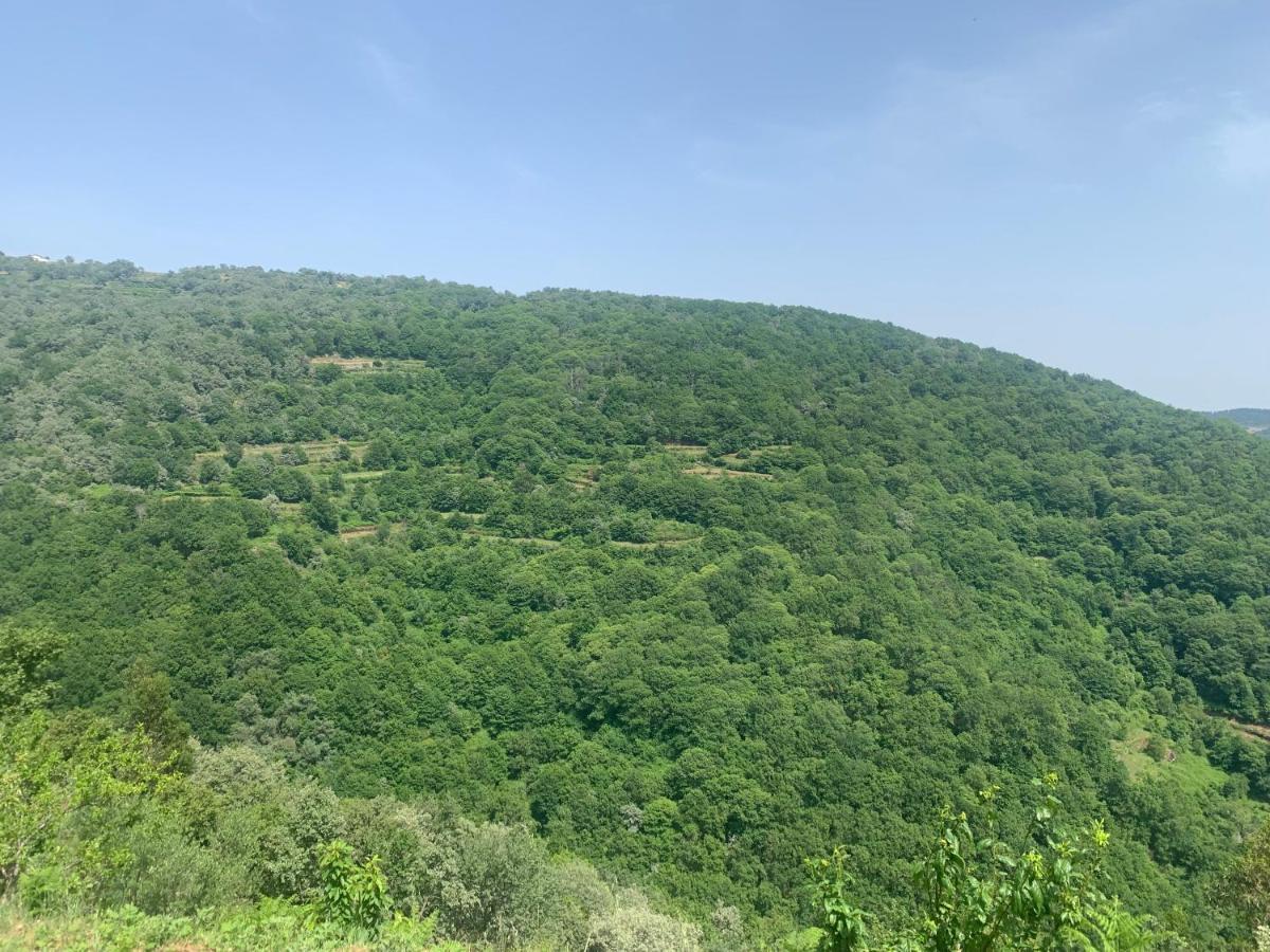 Pereira  Casa Cima De Vila 빌라 외부 사진